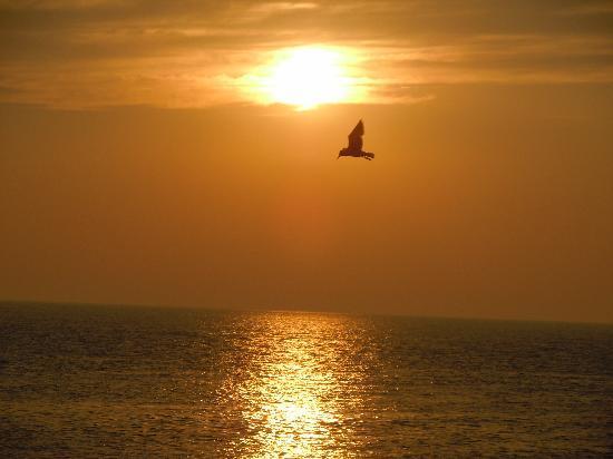 Henry Sawyer Inn Cape May Dış mekan fotoğraf